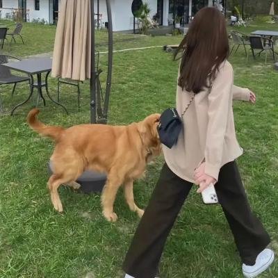 白目怪谈